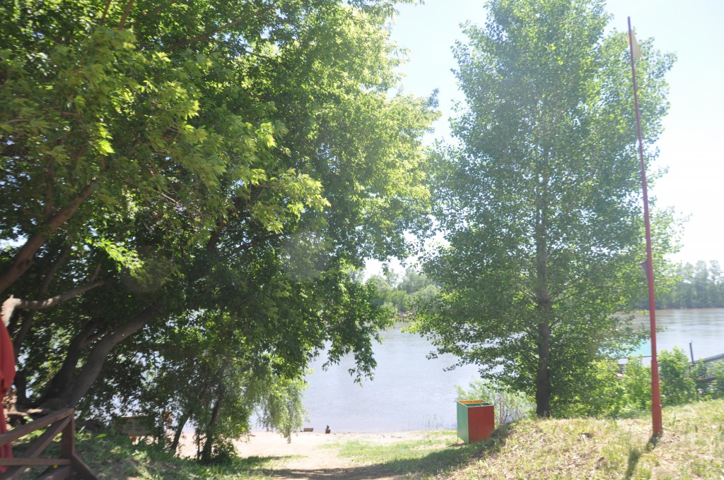 DSC_0190