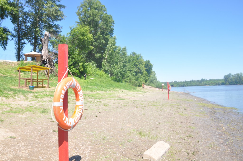DSC_0196