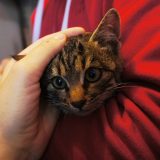 ахметов рафаэль михайлович биография. Смотреть фото ахметов рафаэль михайлович биография. Смотреть картинку ахметов рафаэль михайлович биография. Картинка про ахметов рафаэль михайлович биография. Фото ахметов рафаэль михайлович биография