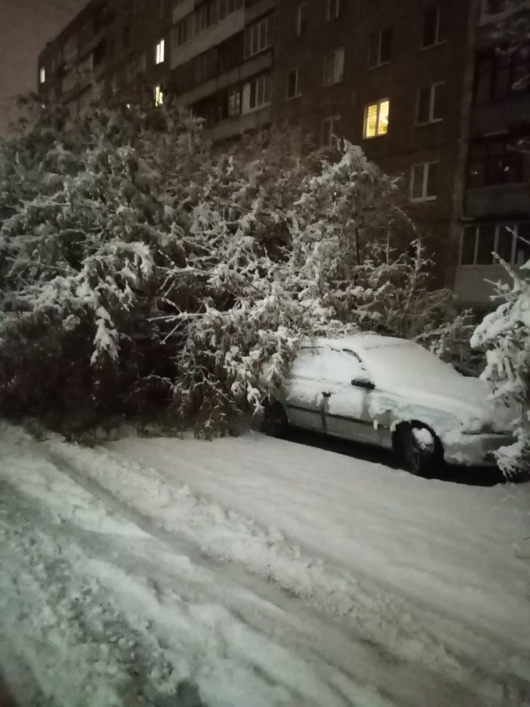 В Уфе непогода повредила 10 автомобилей | Муниципальное бюджетное  учреждение 